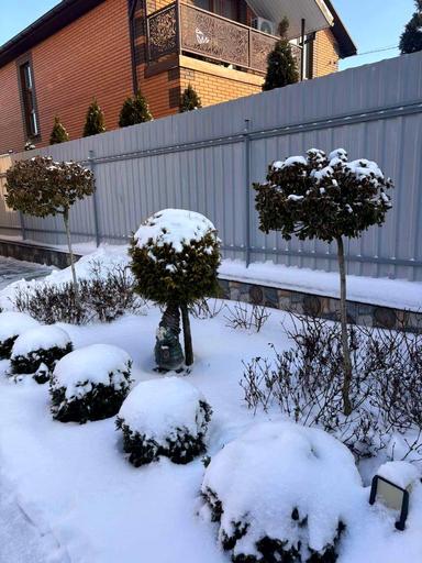 House by the address st. Leontovicha (area 134 m²) - Atlanta.ua - photo 31