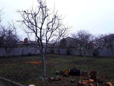 House by the address st. Koroleva ak (area 396 m²) - Atlanta.ua - photo 107