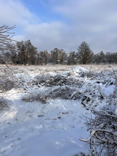 Дом по адресу (площадь 79 м²) - Atlanta.ua - фото 35