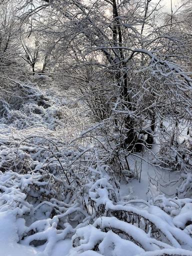 Дом по адресу (площадь 79 м²) - Atlanta.ua - фото 36