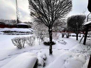 Будинок за адресою (площа 300 м²) - Atlanta.ua - фото 77