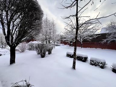 Будинок за адресою (площа 300 м²) - Atlanta.ua - фото 82