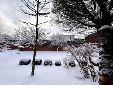 Будинок за адресою (площа 300 м²) - Atlanta.ua - фото 81
