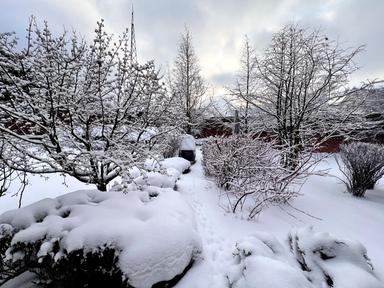 Будинок за адресою (площа 300 м²) - Atlanta.ua - фото 83