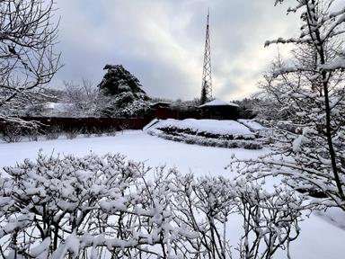 Будинок за адресою (площа 300 м²) - Atlanta.ua - фото 84
