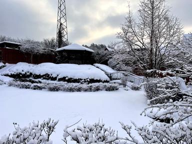 Будинок за адресою (площа 300 м²) - Atlanta.ua - фото 85