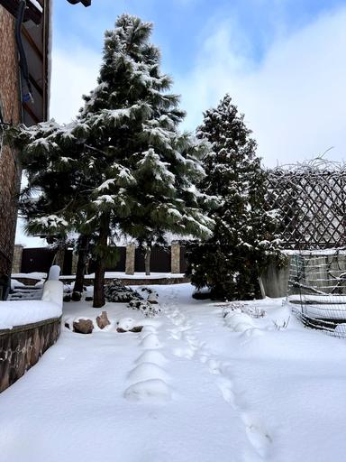 Будинок за адресою (площа 300 м²) - Atlanta.ua - фото 86