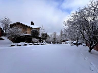 Будинок за адресою (площа 300 м²) - Atlanta.ua - фото 91