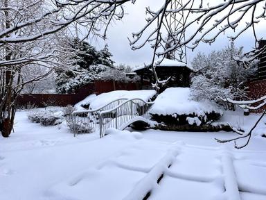 Будинок за адресою (площа 300 м²) - Atlanta.ua - фото 92