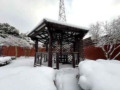 Будинок за адресою (площа 300 м²) - Atlanta.ua - фото 94