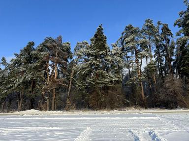 House by the address (area 82,3 m²) - Atlanta.ua - photo 25