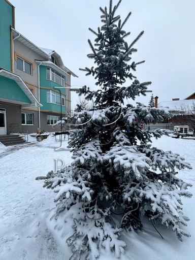 1-комнатная квартира по адресу ул. Зеленая (площадь 44 м²) - Atlanta.ua - фото 33