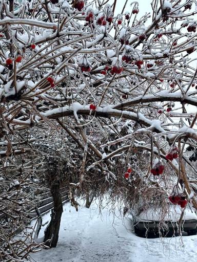 1-комнатная квартира по адресу ул. Зеленая (площадь 44 м²) - Atlanta.ua - фото 37