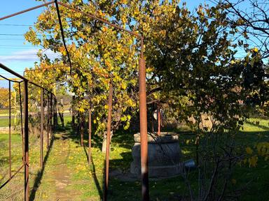 Будинок за адресою вул. Центральна (площа 65 м²) - Atlanta.ua - фото 28