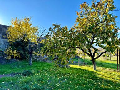 Будинок за адресою вул. Центральна (площа 65 м²) - Atlanta.ua - фото 33