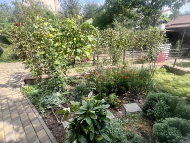 Дом по адресу ул. Виноградная (площадь 192 м²) - Atlanta.ua - imageAlt 46