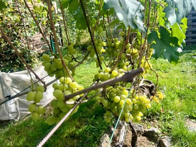 Дом по адресу ул. Виноградная (площадь 192 м²) - Atlanta.ua - imageAlt 48