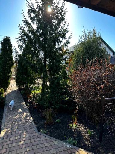 Будинок за адресою (площа 210 м²) - Atlanta.ua - фото 19