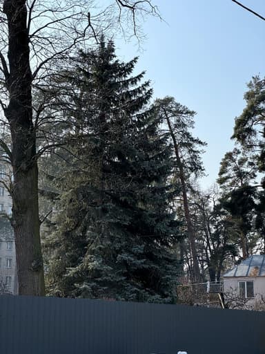 Дом по адресу ул. Нежинская (площадь 135 м²) - imageAlt 37 Дом по адресу ул. Нежинская (площадь 135 м²) - Atlanta.ua - imageAlt 37