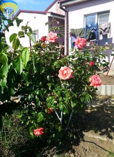 Дом по адресу ул. Центральная (площадь 77 м²) - Atlanta.ua - фото 12