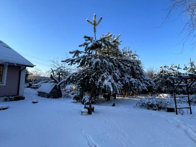 House by the address st. Svyato Pokrovskaya (area 120 m²) - Atlanta.ua - photo 31