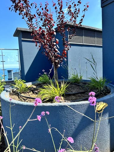 1-комнатная квартира по адресу Курортный пер. (площадь 40 м²) - Atlanta.ua - imageAlt 12