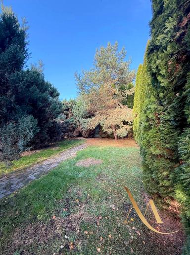 Коммерческая недвижимость по адресу ул. Шевченко (площадь 374 м²) - Atlanta.ua - фото 47