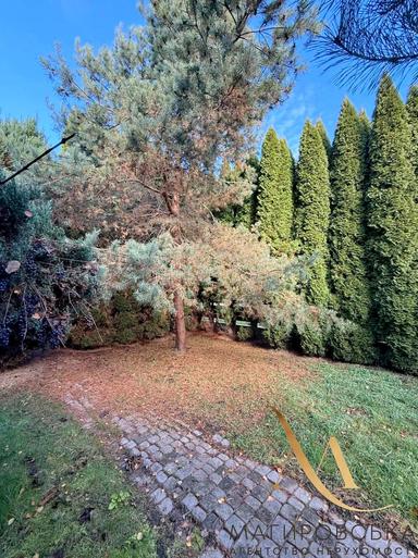 Коммерческая недвижимость по адресу ул. Шевченко (площадь 374 м²) - Atlanta.ua - фото 49