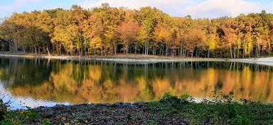 Дом по адресу ул. Зеленая боковая (площадь 390 м²) - Atlanta.ua - фото 60