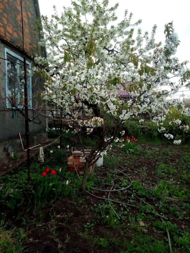 Дом по адресу (площадь 38,1 м²) - Atlanta.ua - фото 13