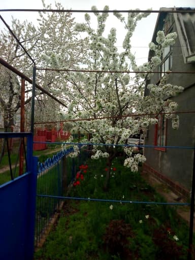 Дом по адресу (площадь 38,1 м²) - Atlanta.ua - фото 14