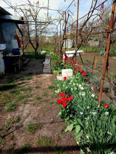 Дом по адресу (площадь 38,1 м²) - Atlanta.ua - фото 16
