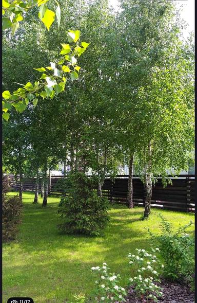 Коммерческая недвижимость по адресу ул. Волошковая (площадь 50 м²) - Atlanta.ua - фото 21