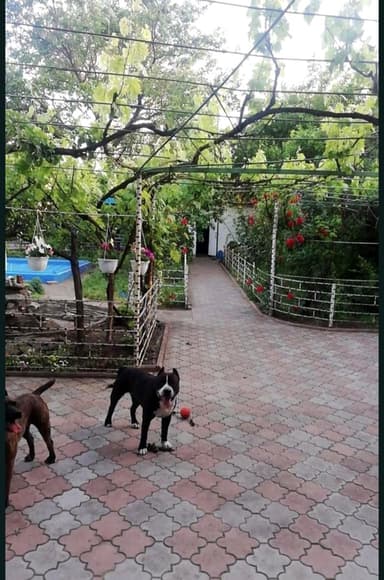 Дом по адресу ул. Химическая (площадь 168 м²) - Atlanta.ua - imageAlt 14