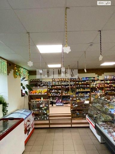 Комерційна нерухомість за адресою вул. Бойчука Михайла (площа 169 м²) - Atlanta.ua - фото 8