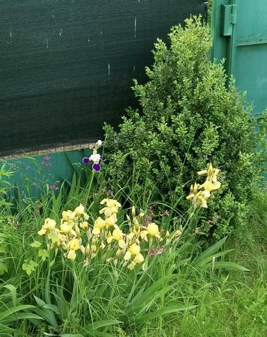 House by the address st. Borispoltsya Platona (area 36 m²) - Atlanta.ua - photo 22