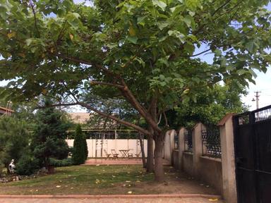 House by the address st. Kolkhoznaya (area 130 m²) - Atlanta.ua - photo 33