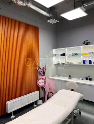 Коммерческая недвижимость по адресу ул. Златоустовская (площадь 165 м²) - Atlanta.ua - фото 24