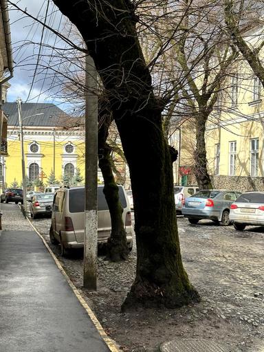 3-комнатная квартира по адресу (площадь 86,7 м²) - Atlanta.ua - фото 15