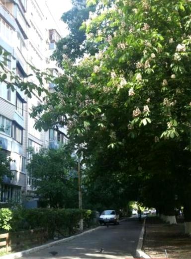 1-кімнатна квартира за адресою вул. Рибальська (площа 26,5 м²) - Atlanta.ua - фото 25