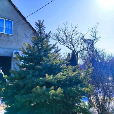 Будинок за адресою (площа 100 м²) - Atlanta.ua - фото 11