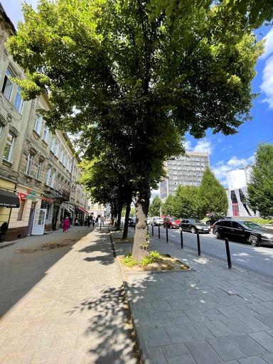 1-комнатная квартира по адресу ул. Гмыри Бориса (площадь 35 м²) - Atlanta.ua - фото 43