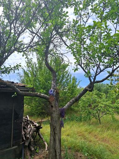 Дом по адресу ул. Рокосовского (площадь 64 м²) - Atlanta.ua - фото 22