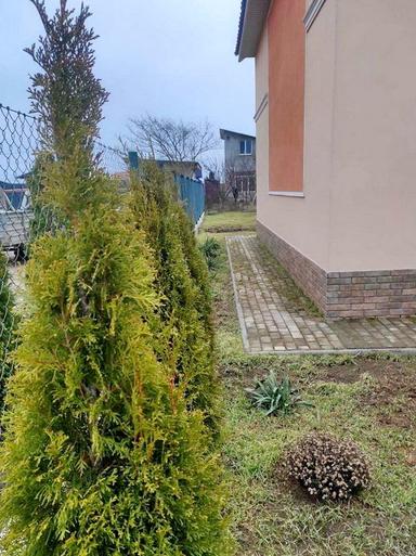 Дом по адресу (площадь 1562 м²) - Atlanta.ua - фото 17