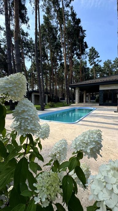 Дом по адресу ул. Михайловського (площадь 256 м²) - Atlanta.ua - фото 26