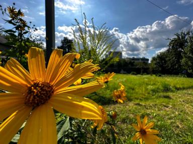 Будинок за адресою вул. Водопровідна (площа 59,9 м²) - Atlanta.ua - фото 64