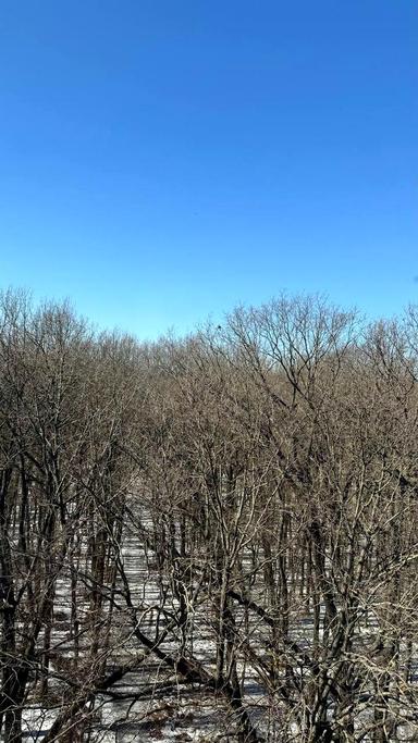 2-комнатная квартира по адресу ул. Подлесная (площадь 45 м²) - Atlanta.ua - фото 10