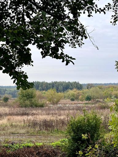 House by the address st. Lugovaya (area 103 m²) - Atlanta.ua - photo 32