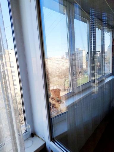 2-rooms apartment apartment by the address st. Ul Polovetskaya (area 48,8 m²) - Atlanta.ua - photo 22