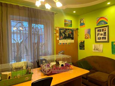 Будинок за адресою (площа 212 м²) - Atlanta.ua - фото 34